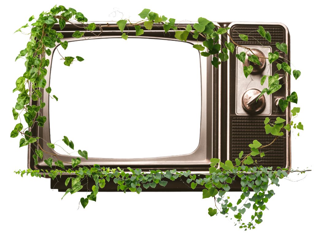 Vintage TV overgrown with vines